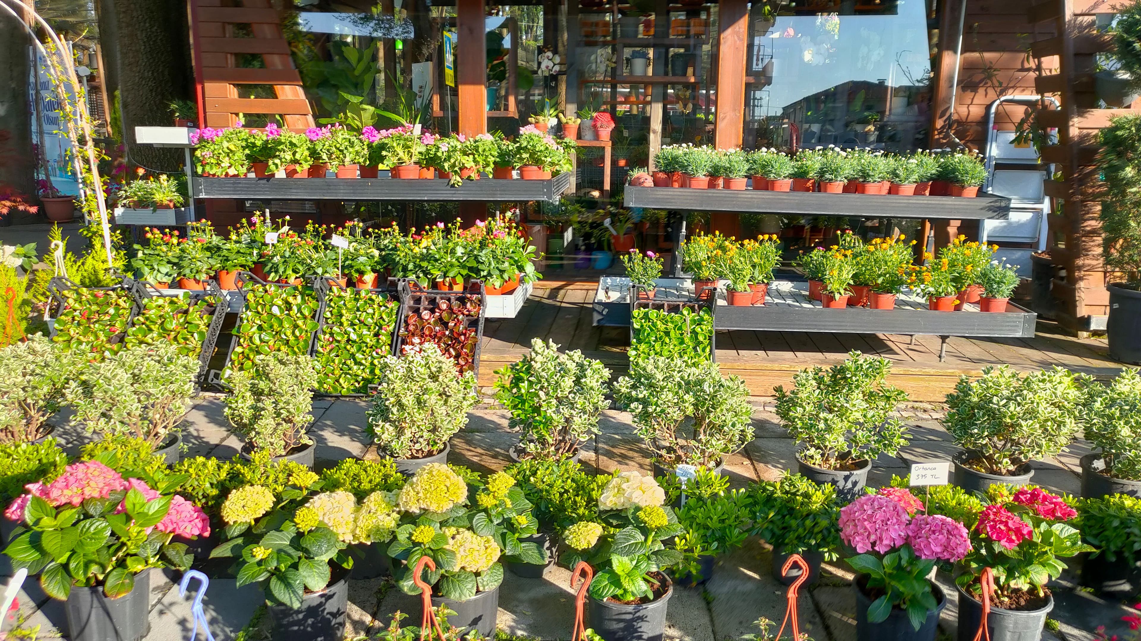 Online Store for Plant Shops